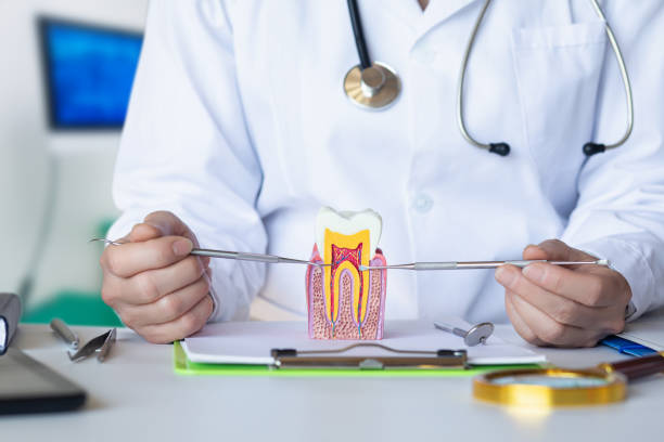 Best Root Canal Emergency Dentist  in Gardere, LA